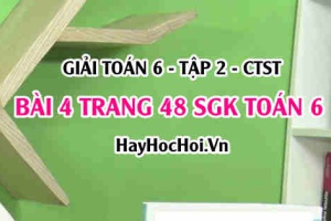 Giải bài 4 trang 48 Toán 6 Tập 2 SGK Chân trời sáng tạo